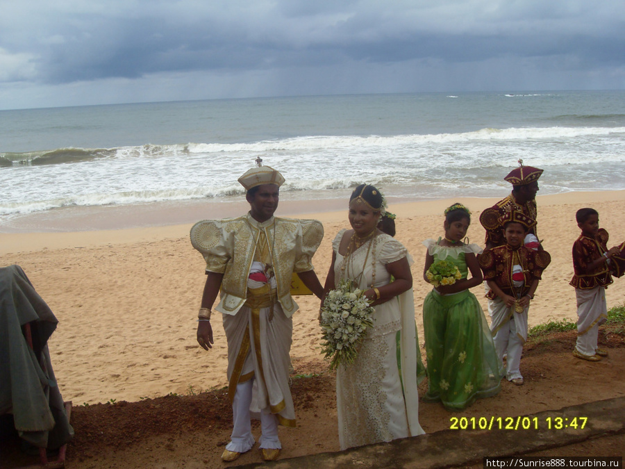 Свадьба в национальных кастюмах!!ОЧЕНЬ КРАСИВО!! Индурува, Шри-Ланка