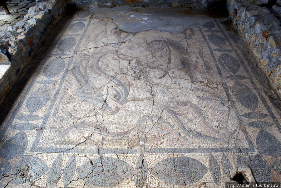Римская мозаика у музея Алания, Турция
