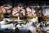На рыбном рынке в Бодруме