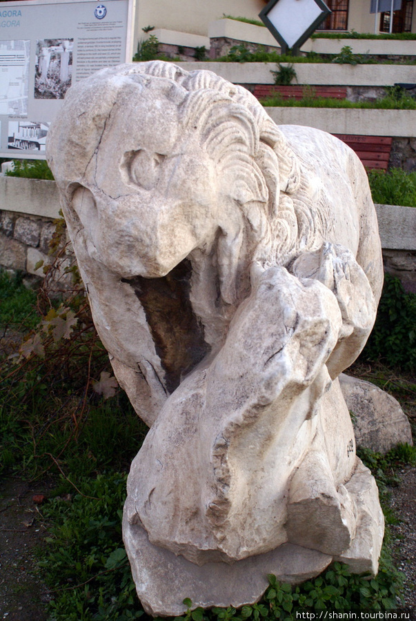 Каменный лев на Агоре Измир, Турция