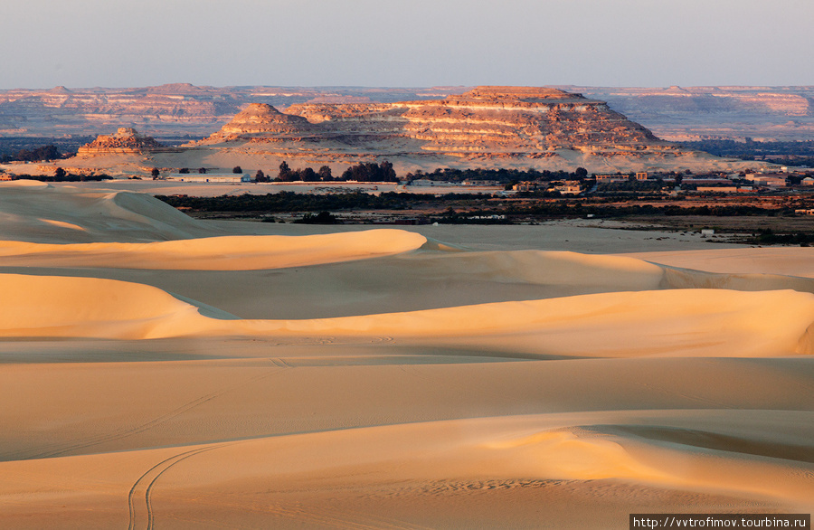 Вид с одной из дюн на Сиву Оазис Сива, Египет
