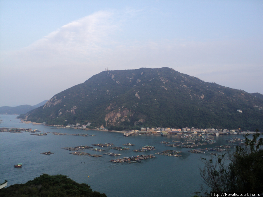 Остров Ламма местами похож на взбесившийся ботанический сад Остров Ламма, Гонконг