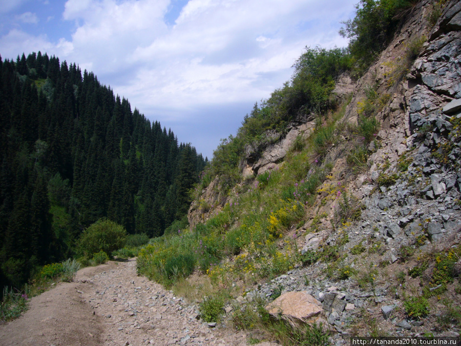 Алматинские горы Заилийский Алатау (горный хребет), Казахстан