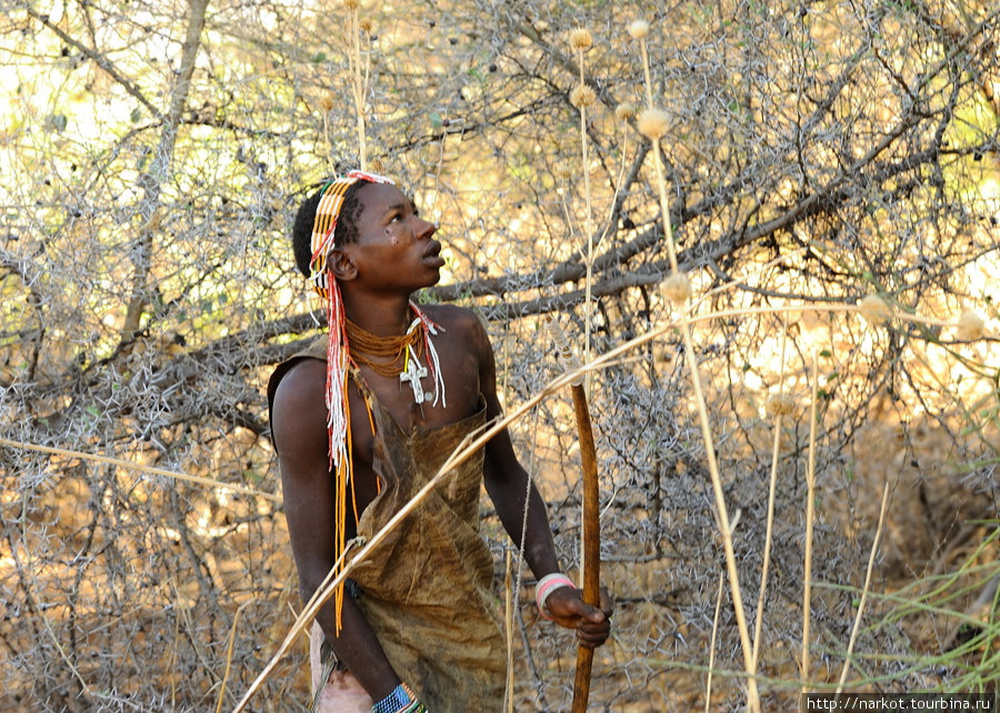 Хатсабе - вымирающее племя Бабати, Танзания