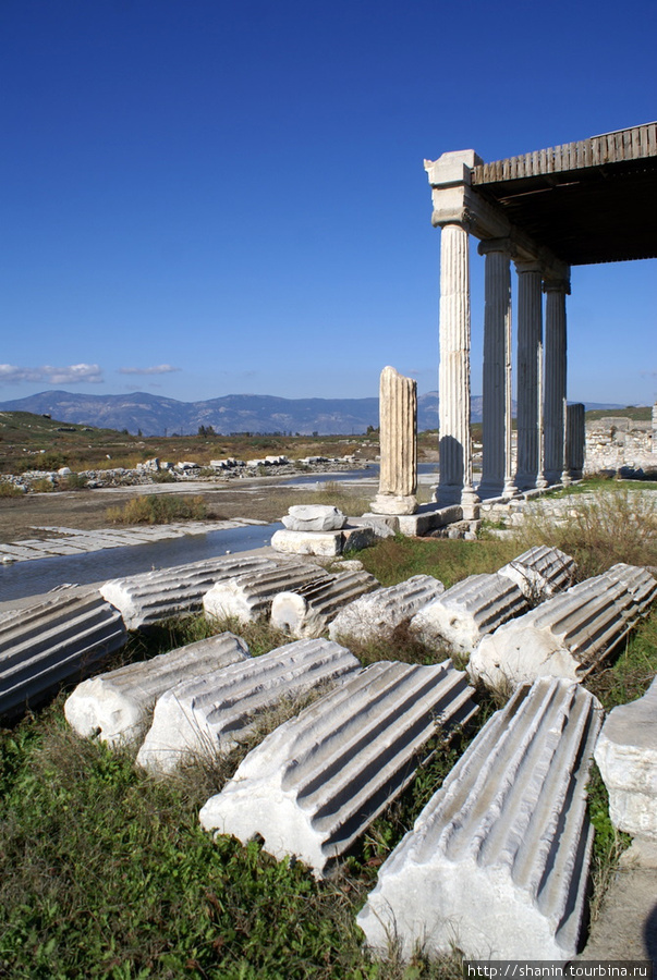 Руины храма и колонны в Милете Дидим, Турция