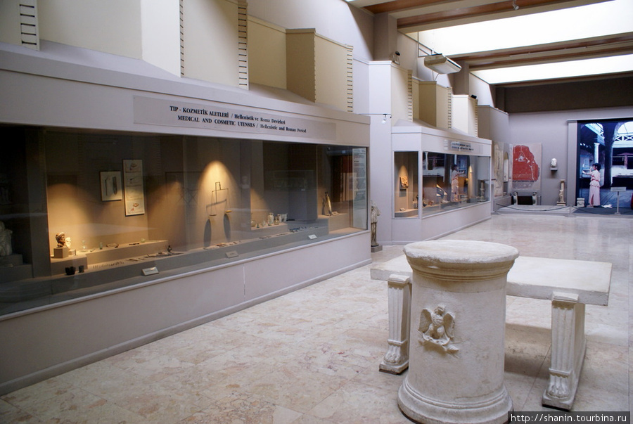 В зале Археологического музея Сельчука Сельчук, Турция