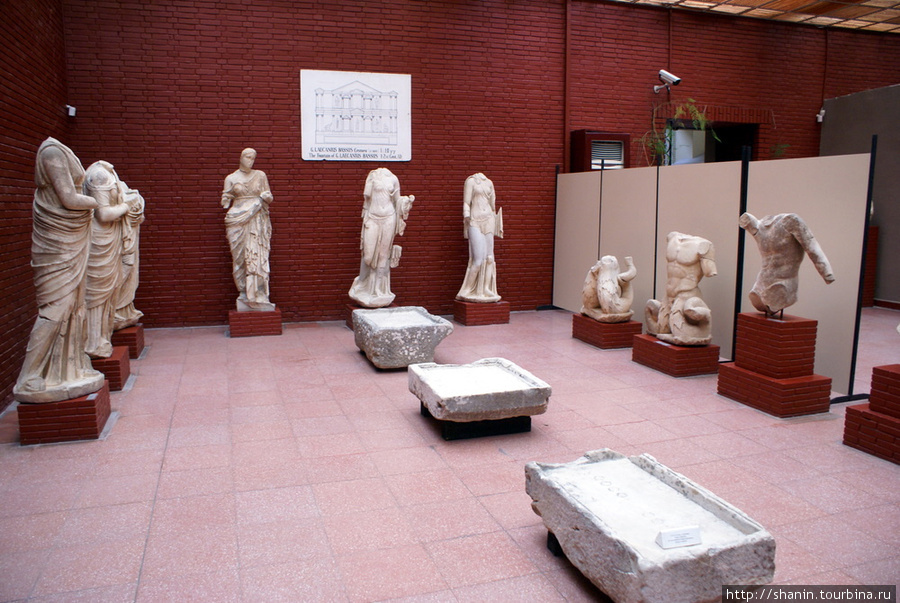 В Археологическом музее Сельчука Сельчук, Турция