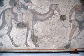 Верблюд на мозаике