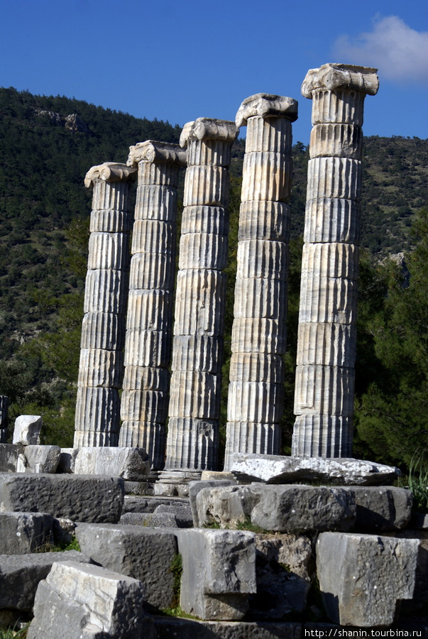Колонны храма Афины в Приене Эгейский регион, Турция