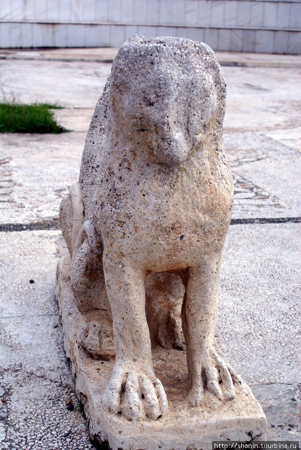 Каменный лев в Сардах Эгейский регион, Турция
