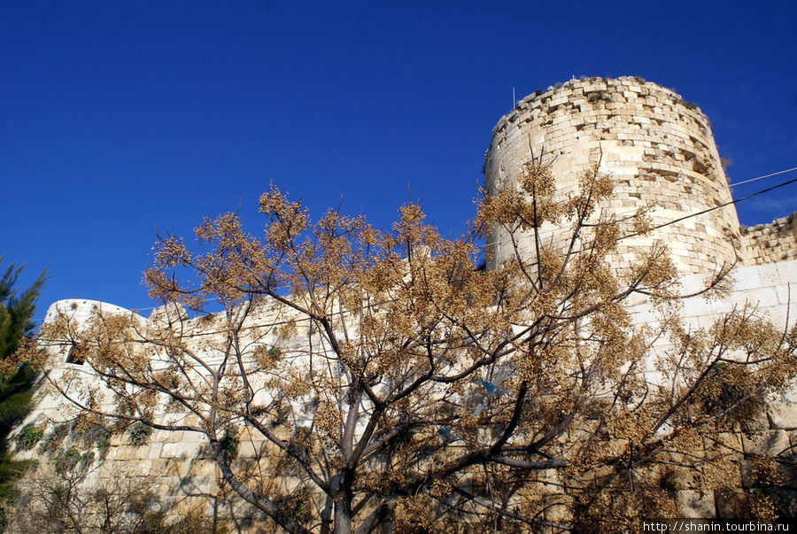 Крепостная башня Силифке, Турция