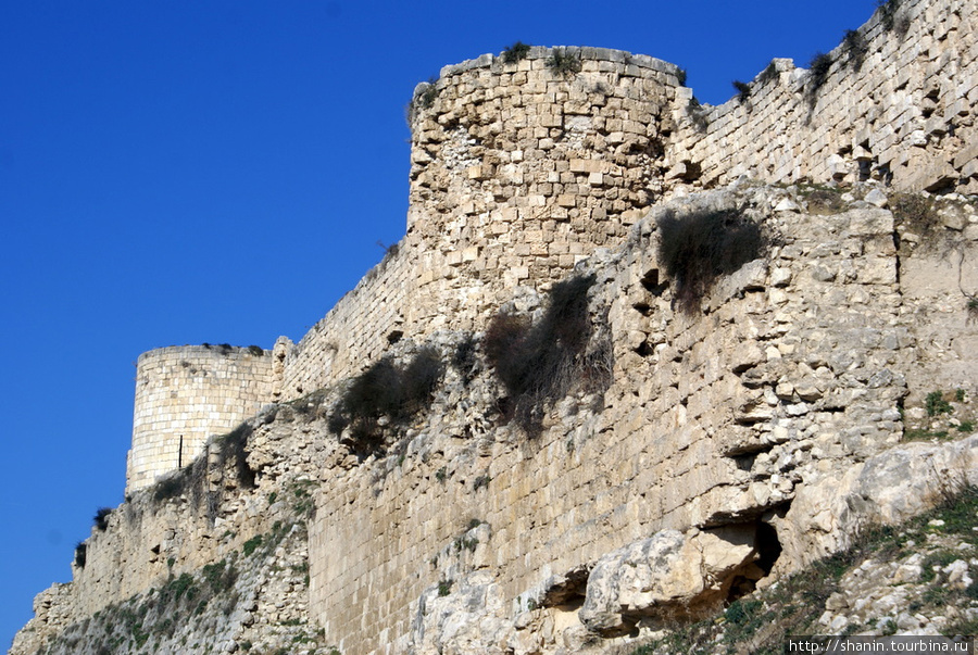 Крепостная стена и башни
