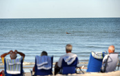 Форт, пенсионеры наблюдают дельфинов на пляже.
