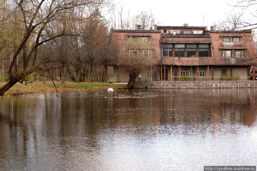 пруд с лебедем у большого дома Сигулда, Латвия