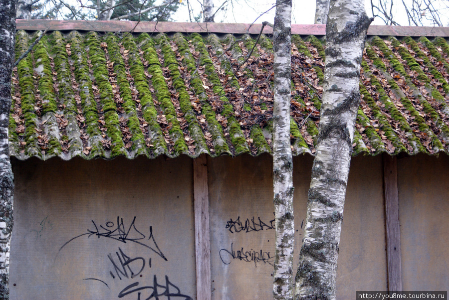 сарайчик и крыша, поросшая мхом Сигулда, Латвия