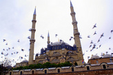 Голуби над мечетью Селимие