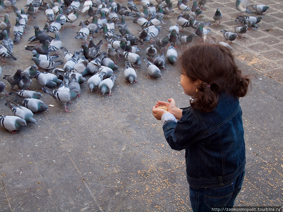 Девочка кормит голубей на площади у мечети Омейядов Дамаск, Сирия