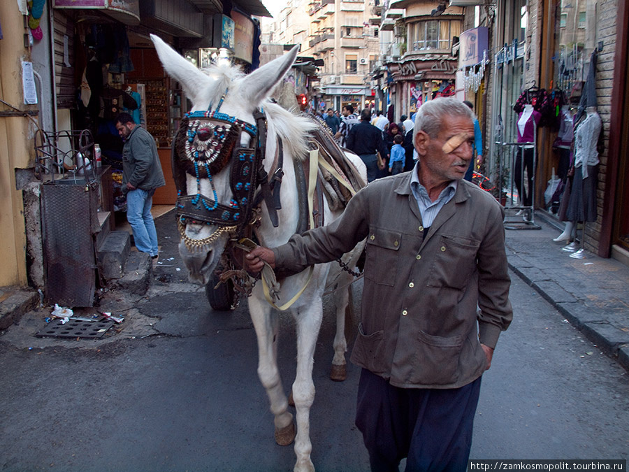 Бродячий торговец Дамаск, Сирия