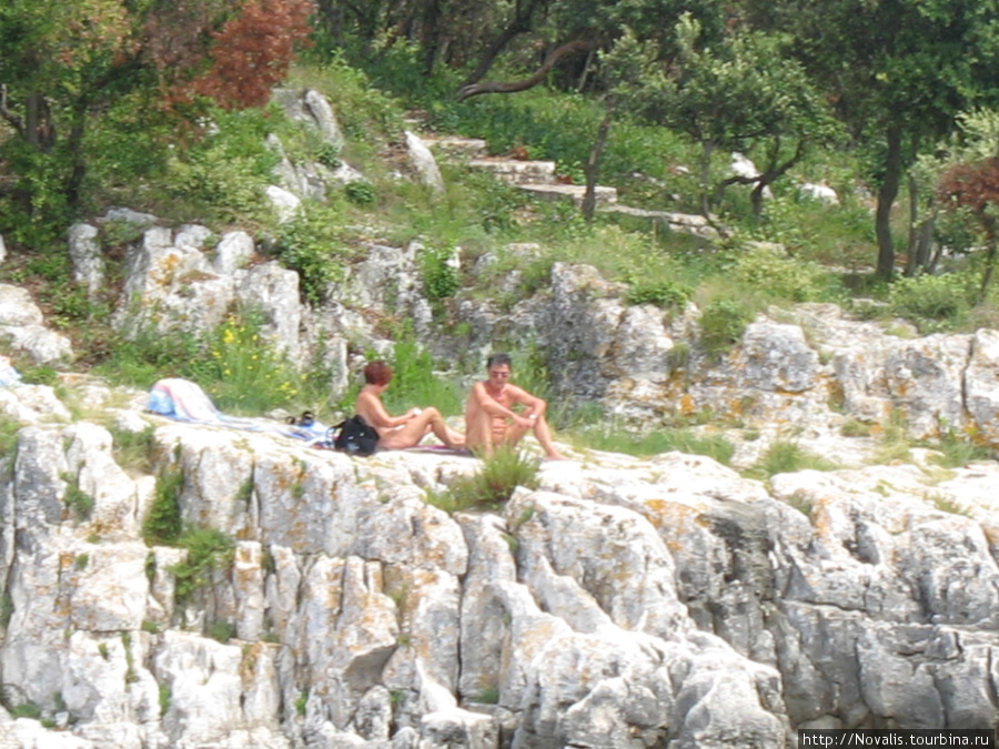 голыши на нудистских пляжах у Врсара Истрия, Хорватия