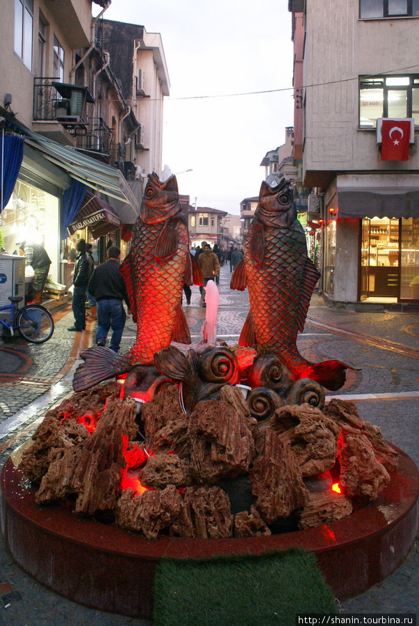 Две рыбы в Эдирне Эдирне, Турция
