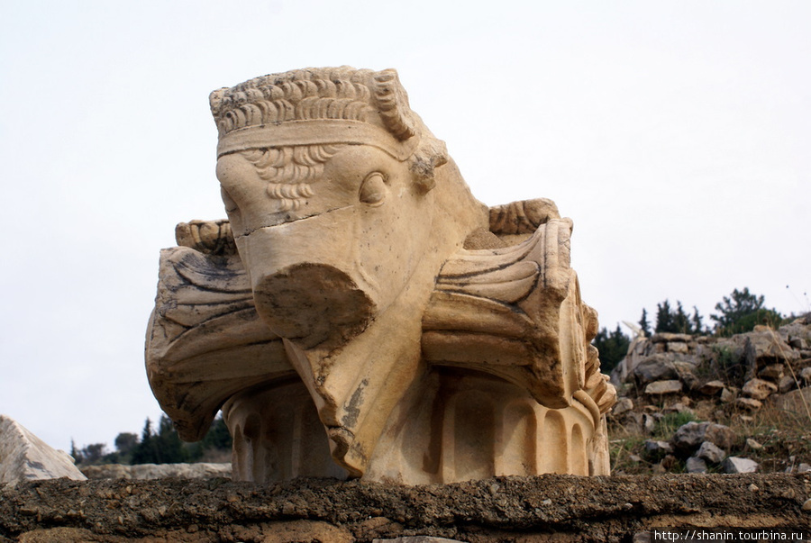 Каменный буйвол Эфес античный город, Турция