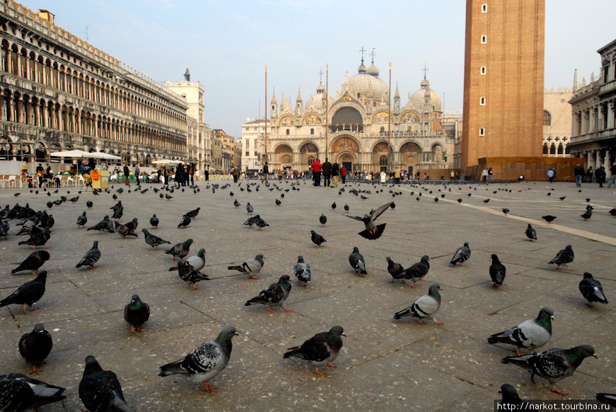 Сан Марко с голубями 2006г Венеция, Италия