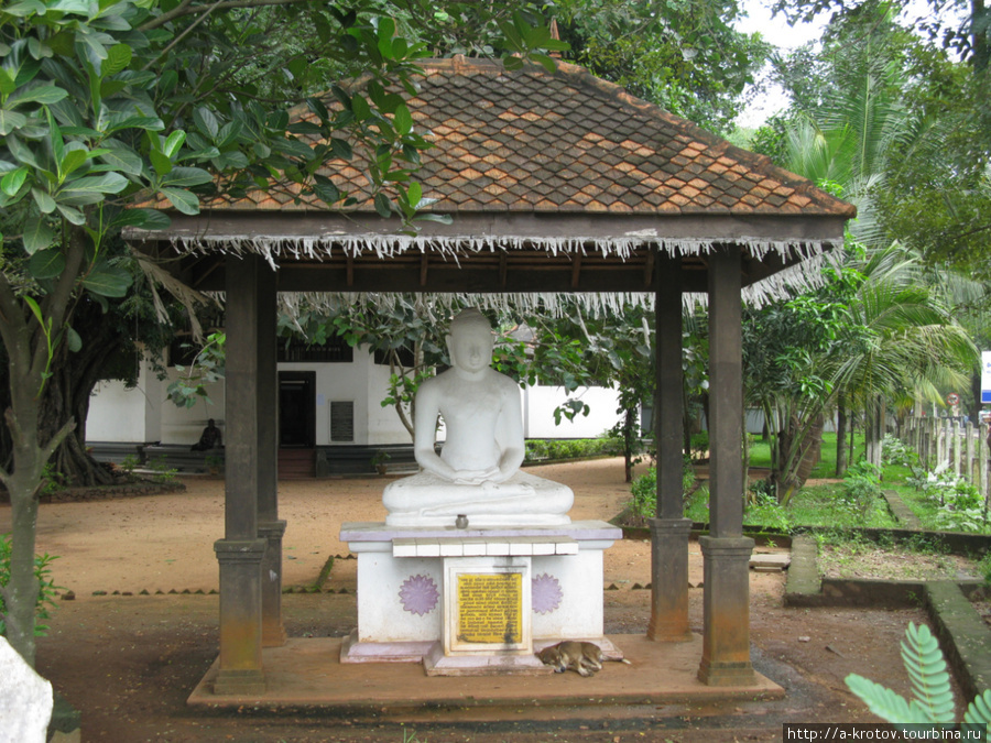 Шри-ланкийские статуи и памятники! Современные. Смешные Шри-Ланка