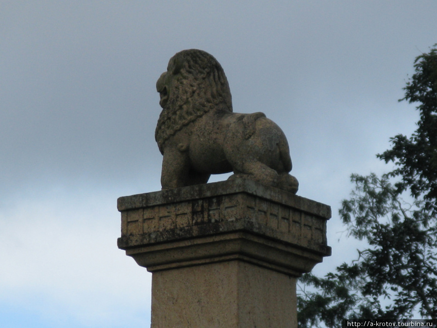 Лев — символ Шри-Ланки, типа как в России орёл двухголовый Шри-Ланка