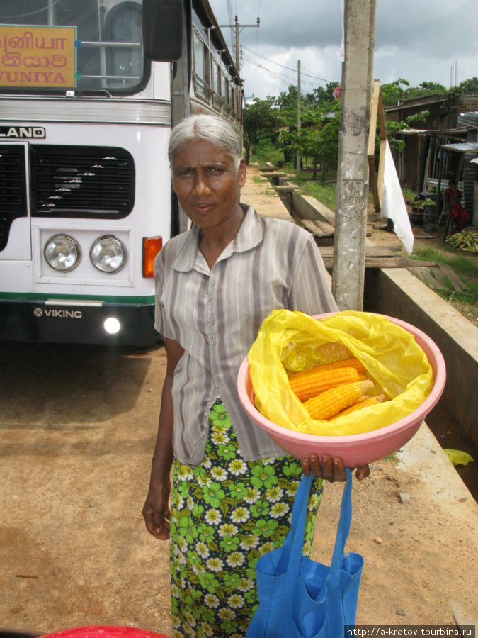 Продавец вареной кукурузы Шри-Ланка