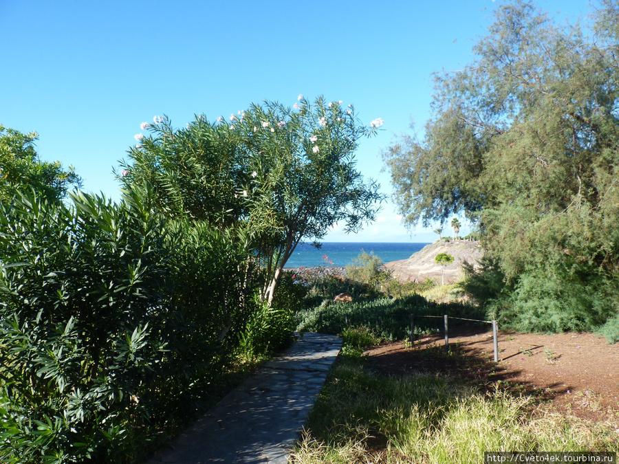 Тенерифе-прогулка  к пляжу del Duque. Остров Тенерифе, Испания