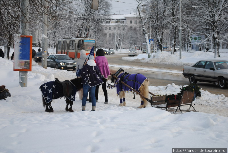 Русская зима в Калининграде Калининград, Россия