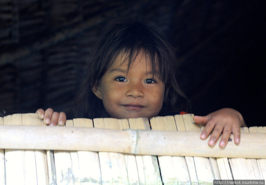 Племя живущее в джунглях Тена, Эквадор