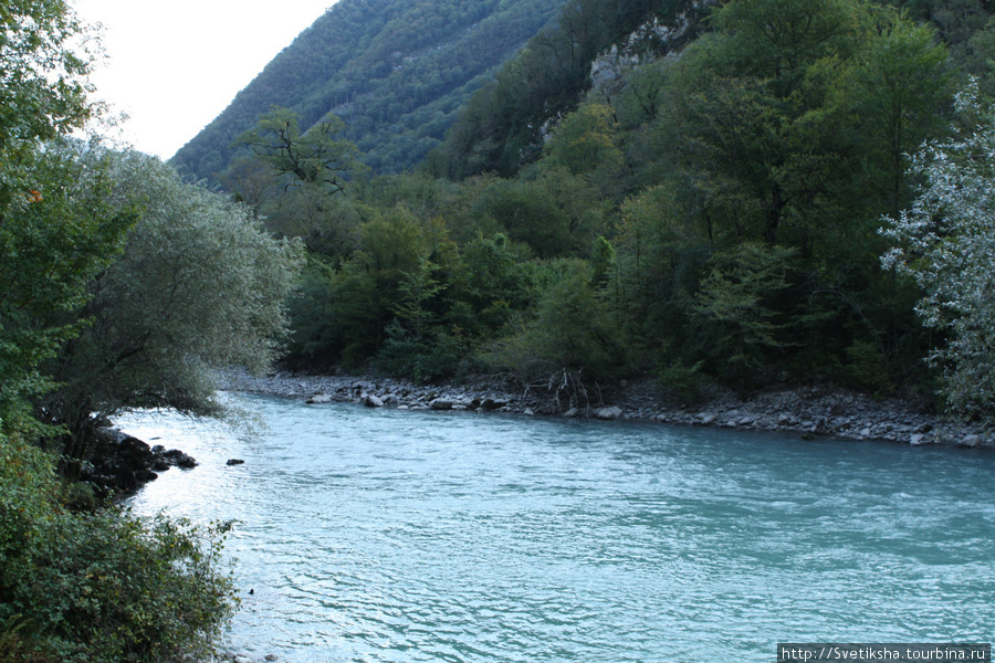 Горная река Рица Реликтовый Национальный Парк, Абхазия