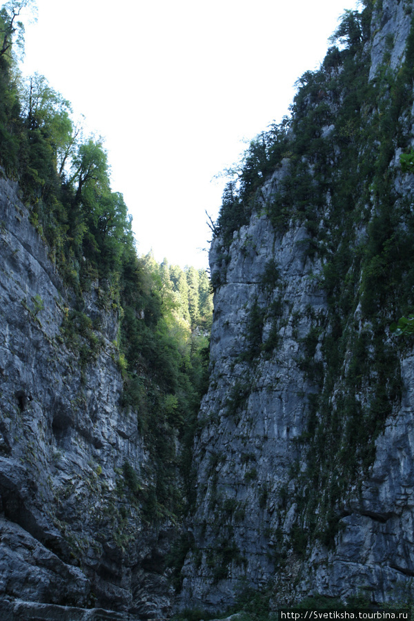 Скалы Рица Реликтовый Национальный Парк, Абхазия
