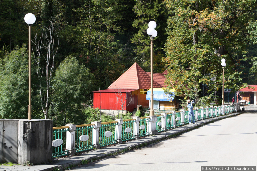 Мост через реку у озера Рица Реликтовый Национальный Парк, Абхазия