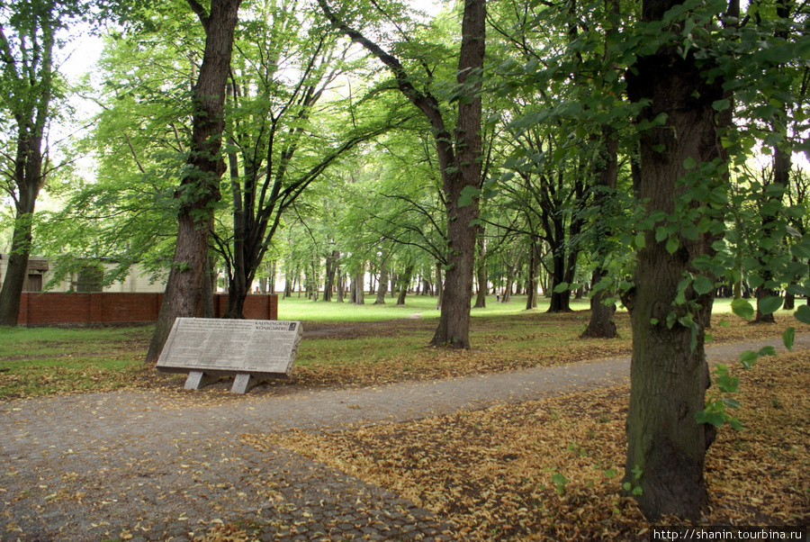 В парке у немецкого кладбища Калининград, Россия