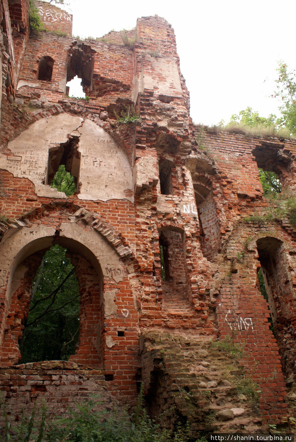 Руины замка Бальга Калининградская область, Россия