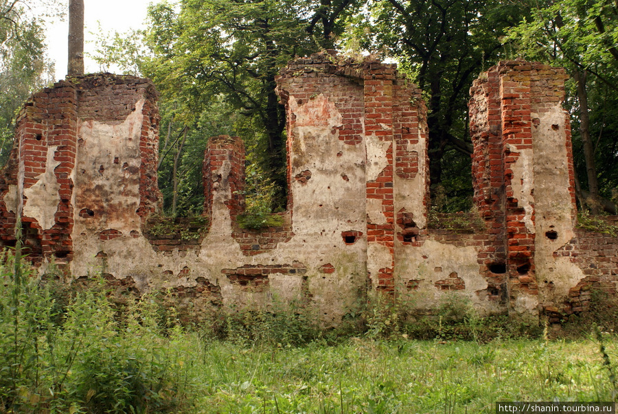 Руины Калининградская область, Россия