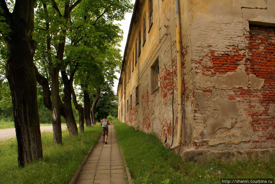 Дорожка у стены замка Инстербург Черняховск, Россия