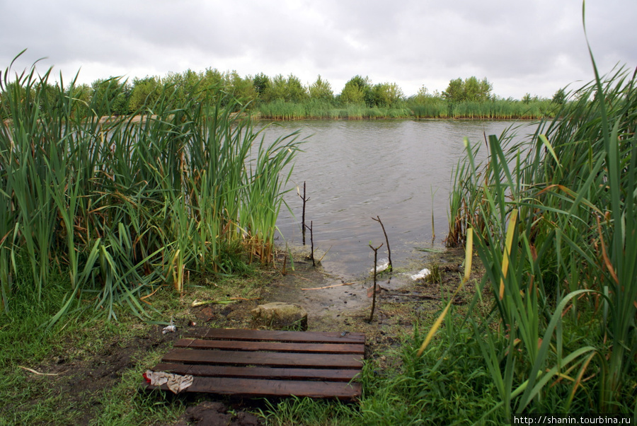 На озере у поселка Лесное Куршская Коса Национальный Парк, Россия