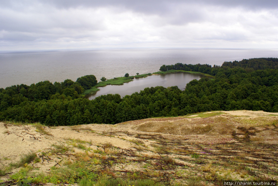 Вид с дюны на озеро Чайка Куршская Коса Национальный Парк, Россия