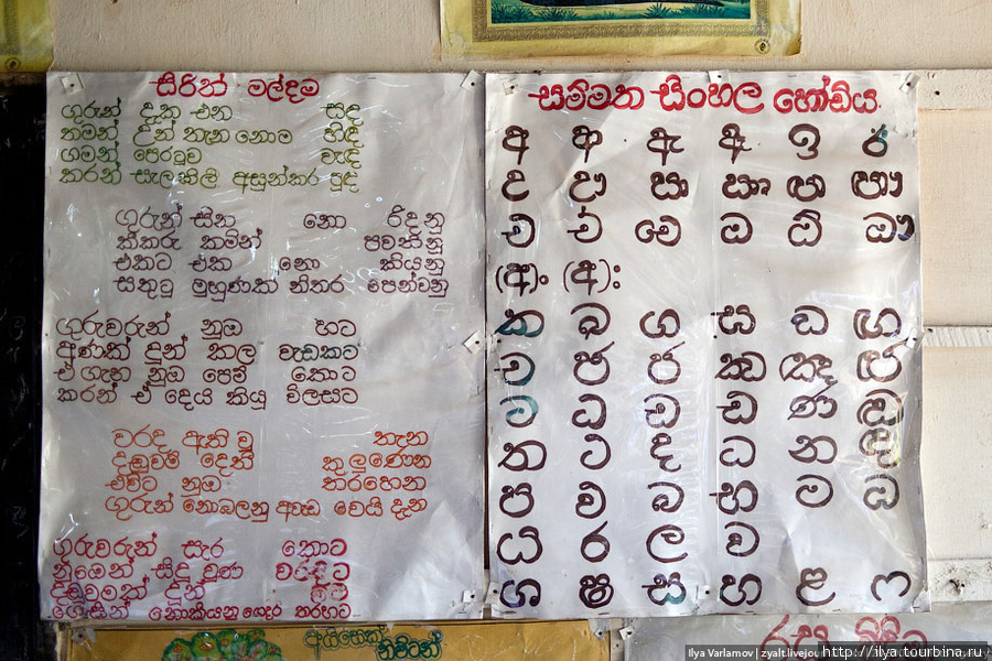 У ланкийцев, наверное, один из самых красивых в мире алфавитов. Южная провинция, Шри-Ланка