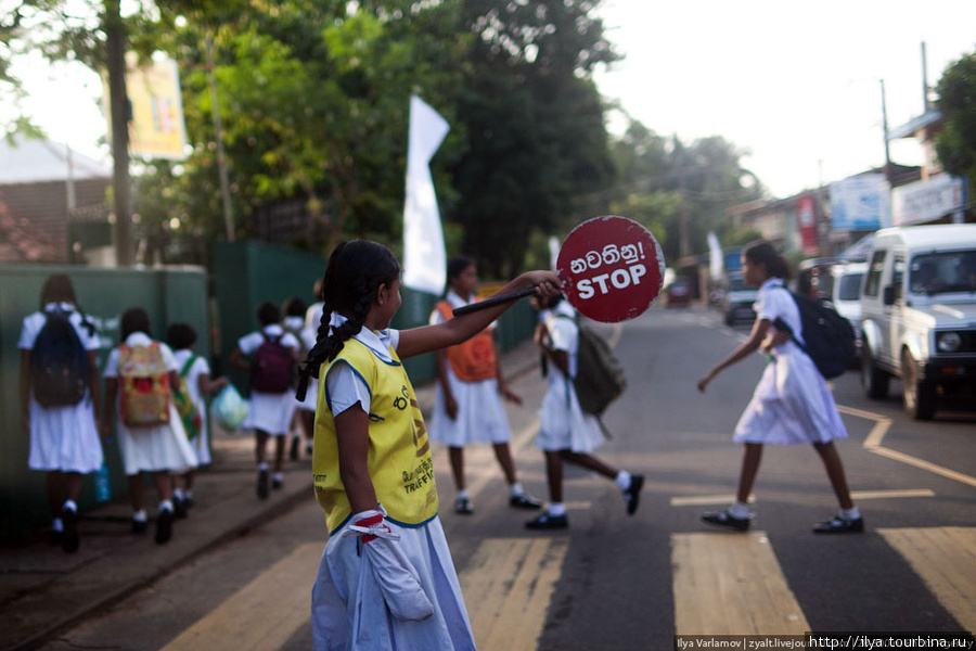 Перед началом занятий ученики дежурят на дороге регулировщиками. Занятия начинаются в 8 утра Южная провинция, Шри-Ланка