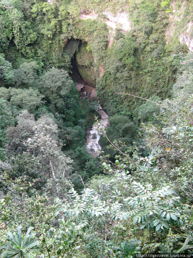 Поверхностное знакомство с пещерами: Кавернас де ла Камуй Камуй-Ривэ Пещерный парк, Пуэрто-Рико