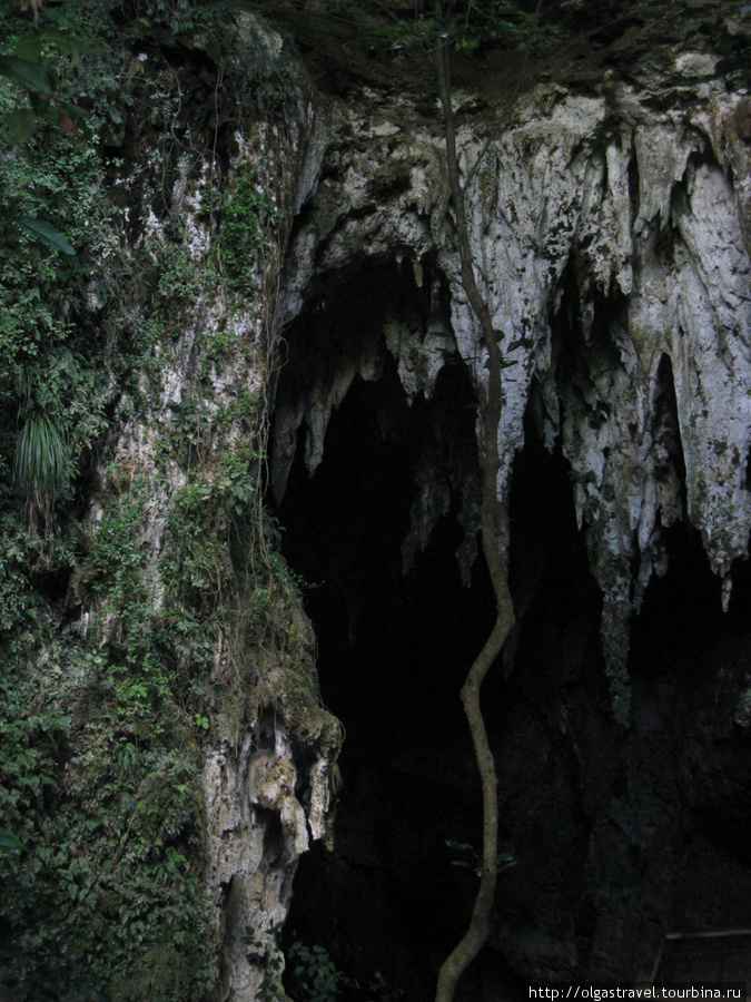 Поверхностное знакомство с пещерами: Кавернас де ла Камуй Камуй-Ривэ Пещерный парк, Пуэрто-Рико