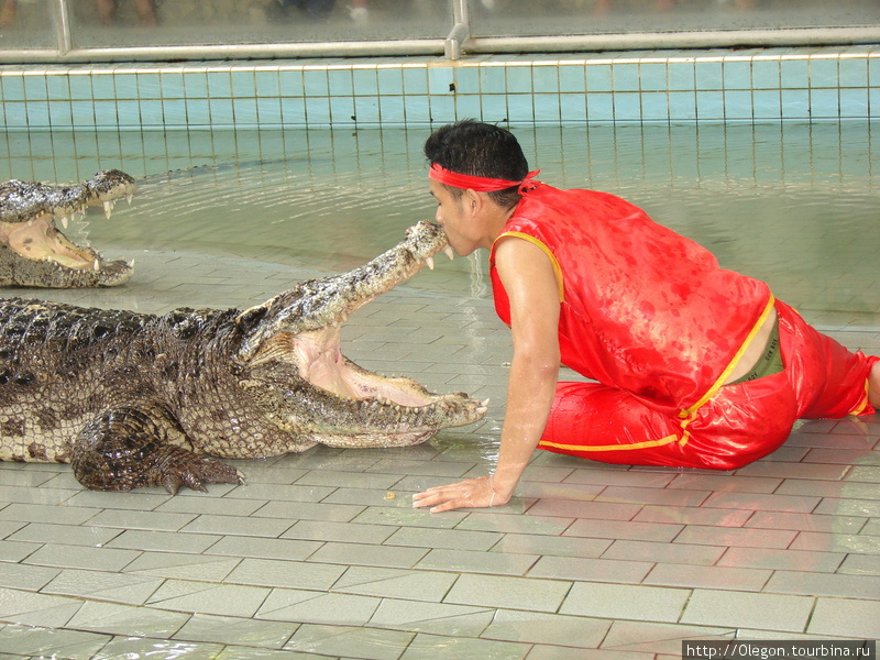 Парк камней, змей и крокодилов Паттайя, Таиланд