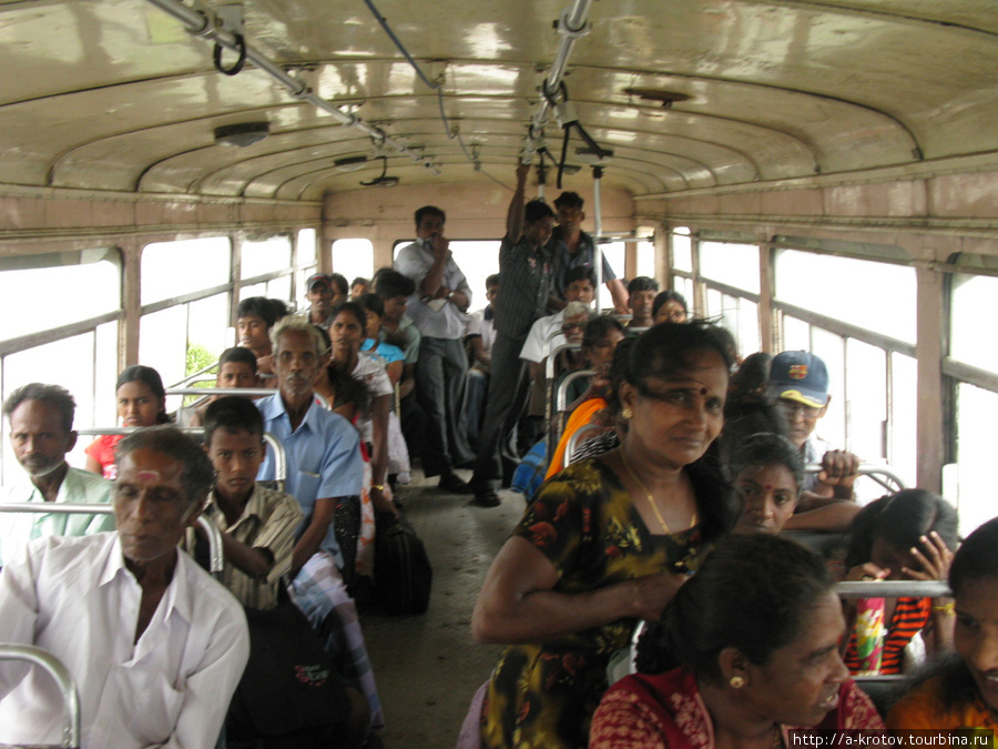 Пассажиры автобуса Кайтс, Шри-Ланка
