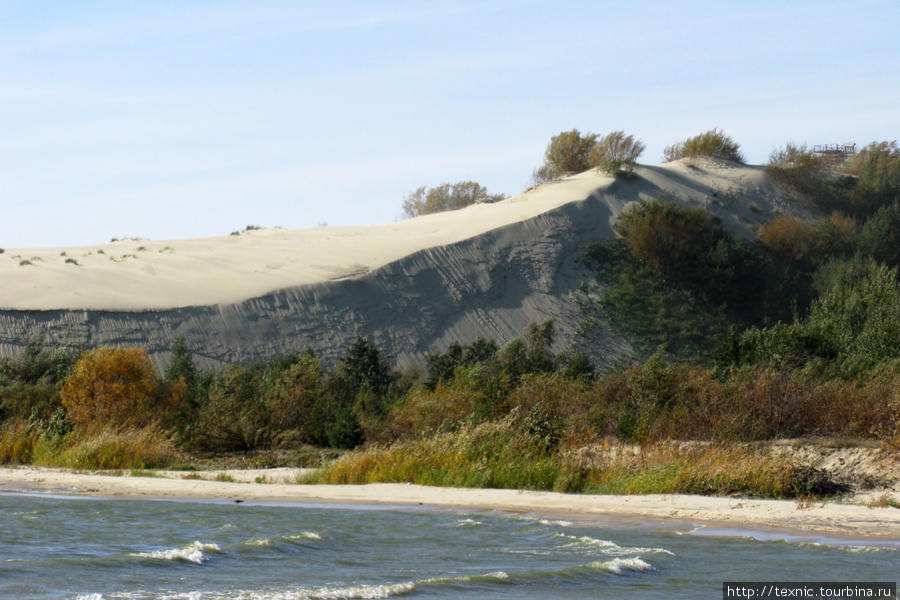 Вид на дюну с берега лимана Куршская Коса Национальный Парк, Россия