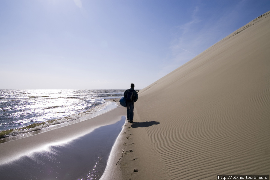 Кое где дюна подходит совсем близко к берегу лимана Куршская Коса Национальный Парк, Россия