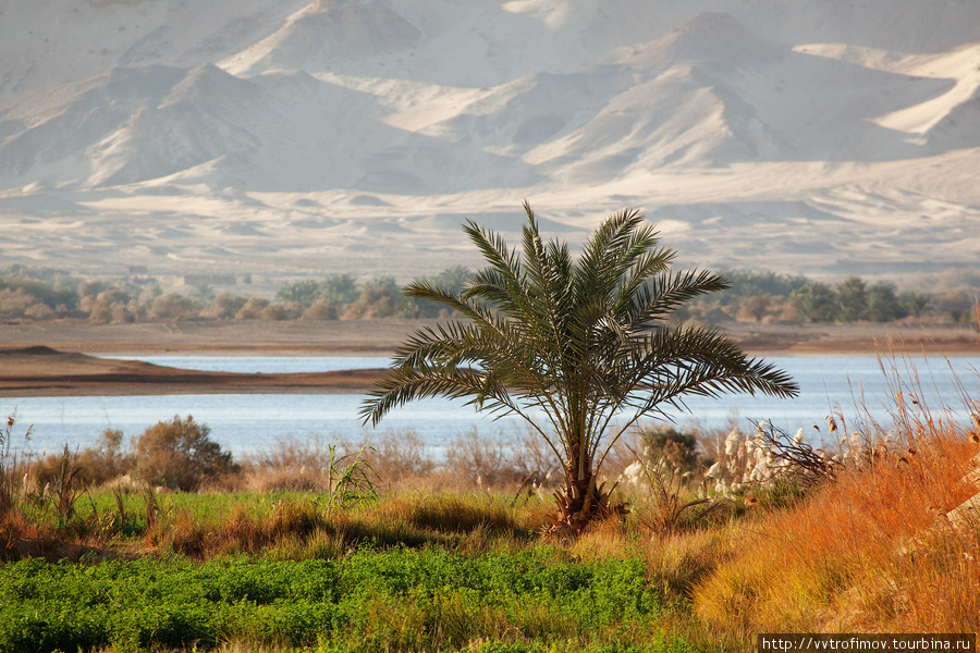 Соленое озеро в окрестностях Бавити Фарафра, Египет